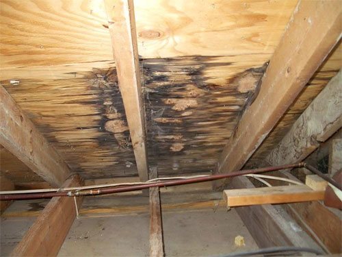 Roof Leak Repair in South Jersey | Arias Roofing & Siding LLC